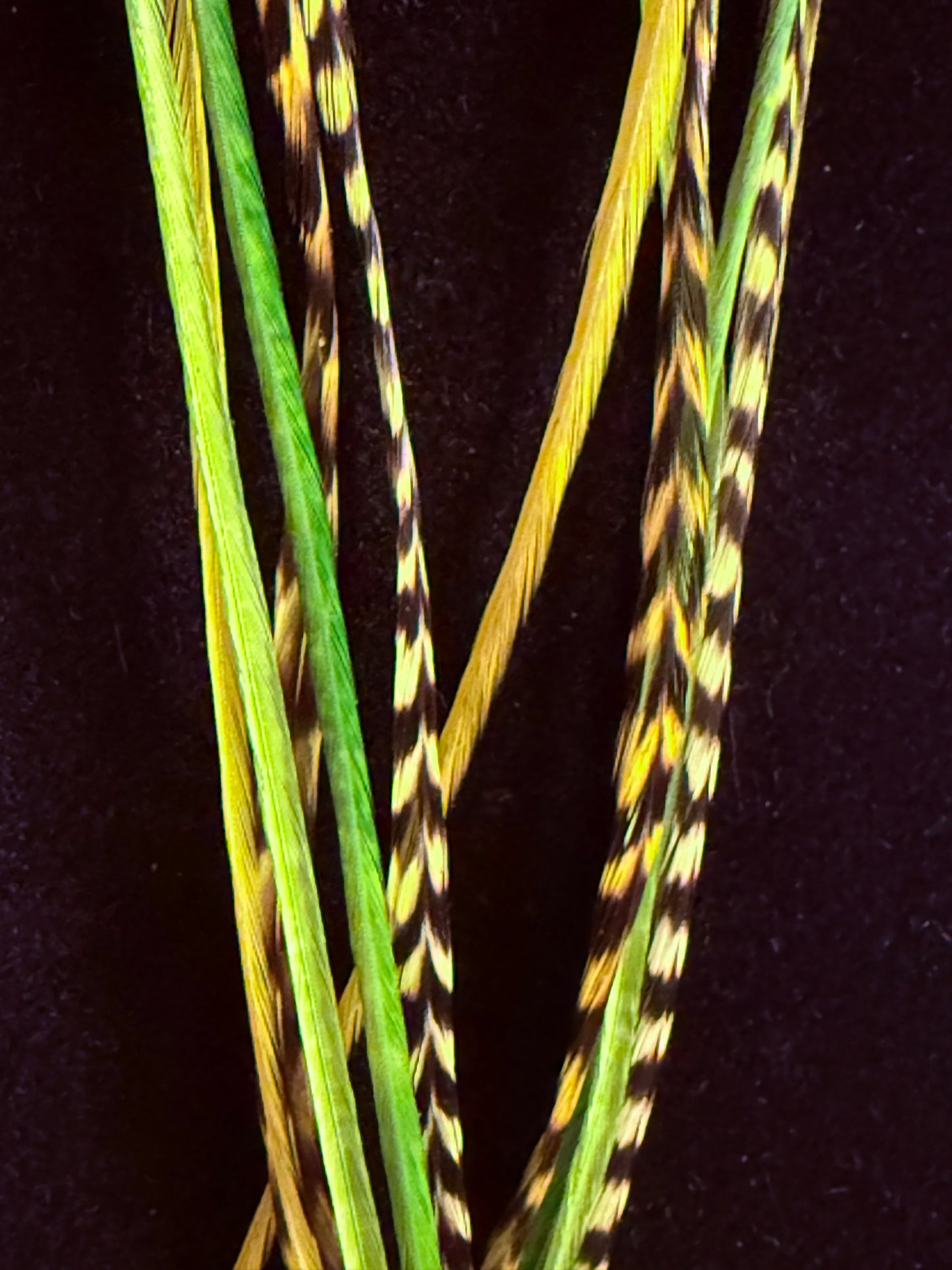 Lemons & Limes Feather + Stone Earring Set