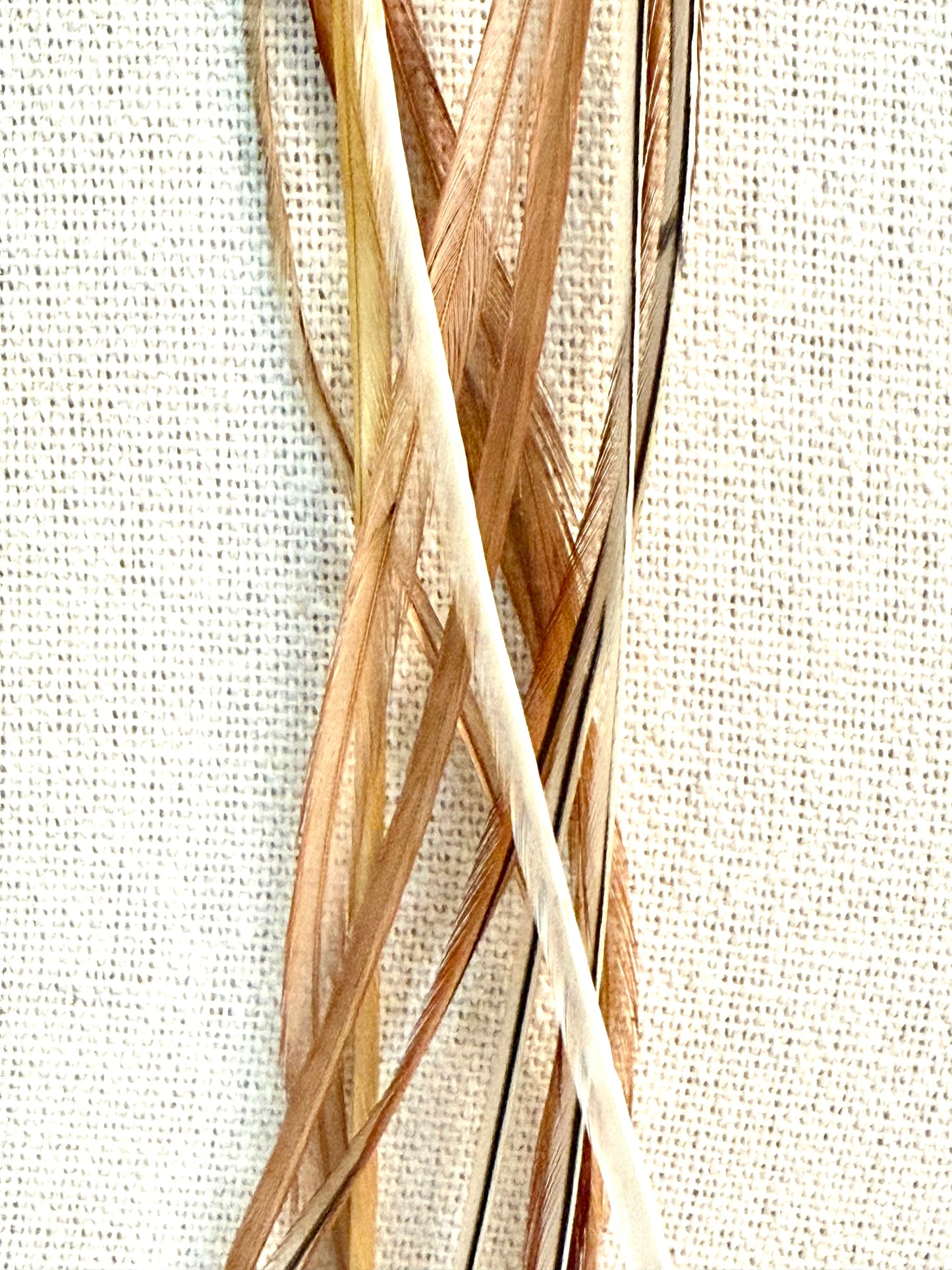 Honey Drop Feather + Stone Earring Set